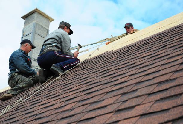 Best Roof Waterproofing Services  in Folsom, PA